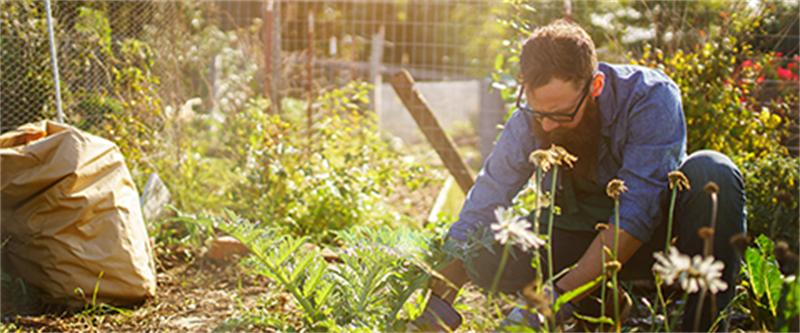 Lawn/Garden Care Image